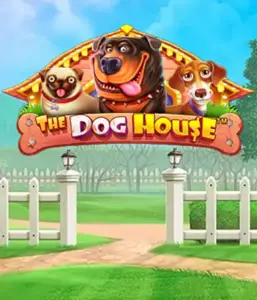 From Pragmatic Play comes The Dog House adventure, bringing you a fun-filled experience through playful pups. Engage in features including multipliers, perfect for providing entertaining gameplay. Ideal for pet lovers an amusing setting with a chance for big wins.